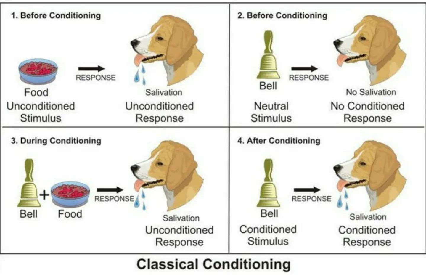 DOG TRAINING SIMPLIFIED