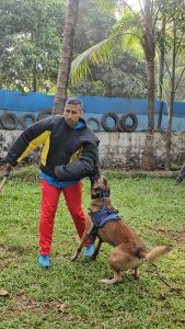 Dog Trainer Mumbai training dog for protection